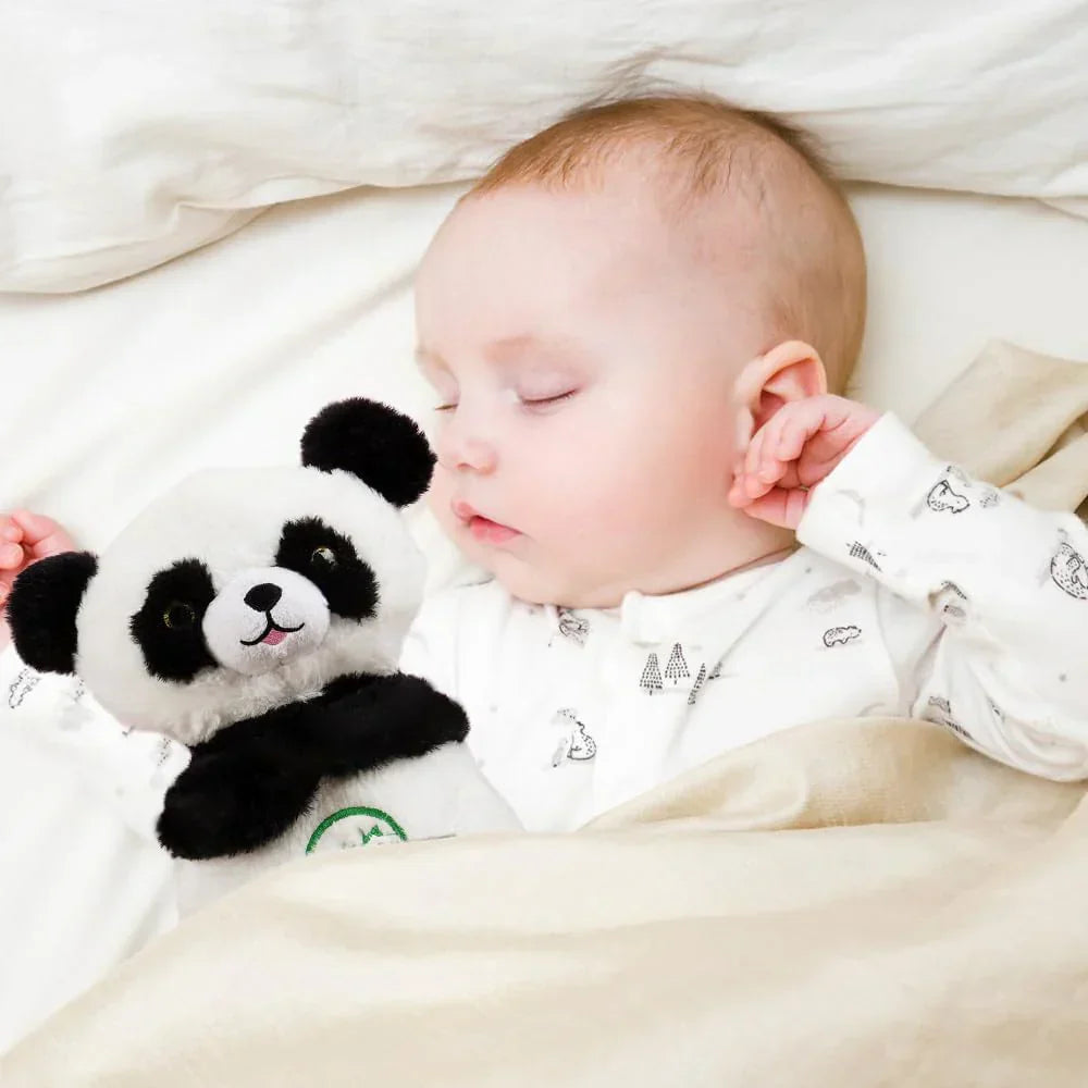 Panda Breathing Bear