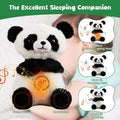 Panda Breathing Bear
