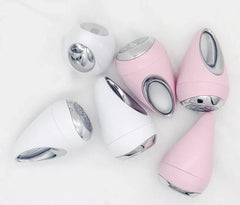 Facial Beauty Instrument