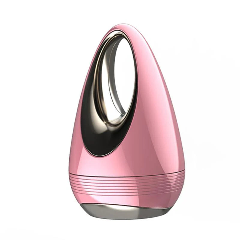 Facial Beauty Instrument